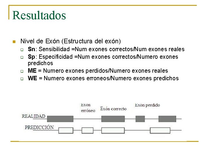 Resultados n Nivel de Exón (Estructura del exón) q q Sn: Sensibilidad =Num exones