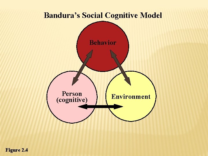 Bandura’s Social Cognitive Model Behavior Person (cognitive) Figure 2. 4 Environment 