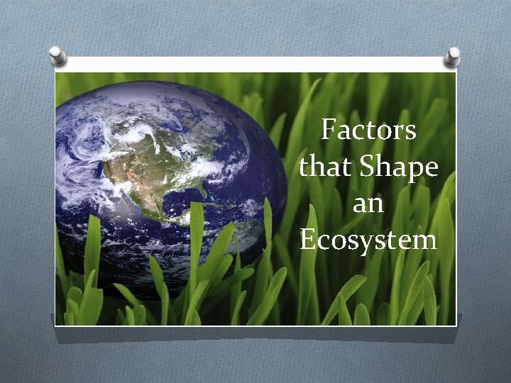 Factors that Shape an Ecosystem 