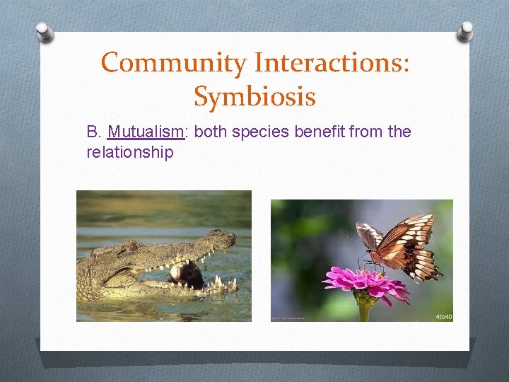 Community Interactions: Symbiosis B. Mutualism: both species benefit from the relationship 