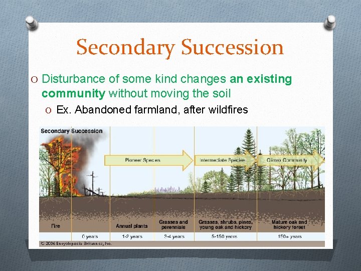 Secondary Succession O Disturbance of some kind changes an existing community without moving the