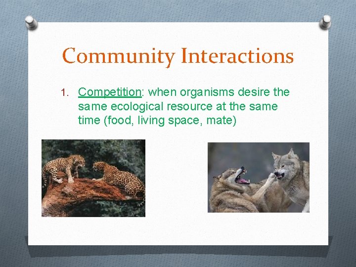 Community Interactions 1. Competition: when organisms desire the same ecological resource at the same