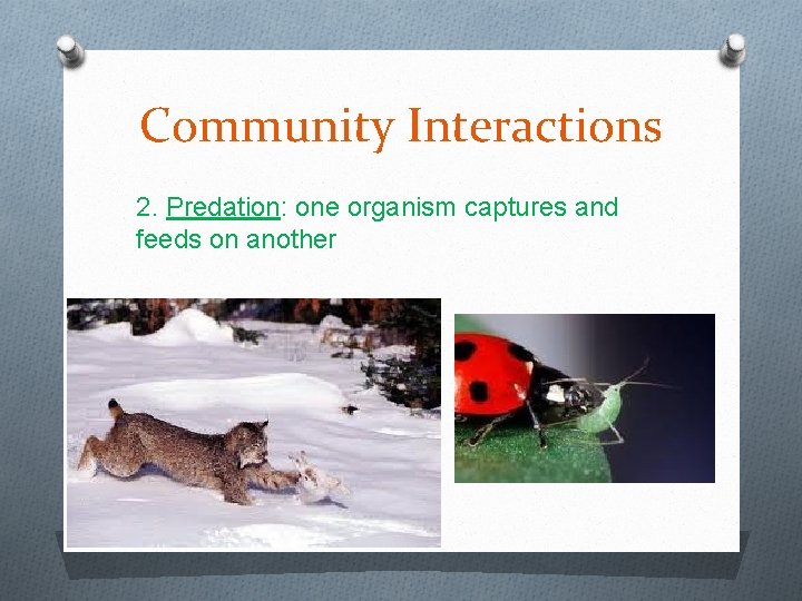 Community Interactions 2. Predation: one organism captures and feeds on another 