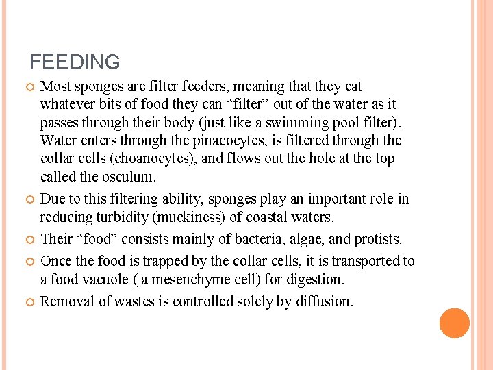 FEEDING Most sponges are filter feeders, meaning that they eat whatever bits of food