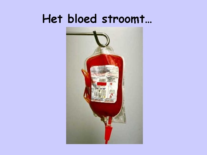 Het bloed stroomt… 