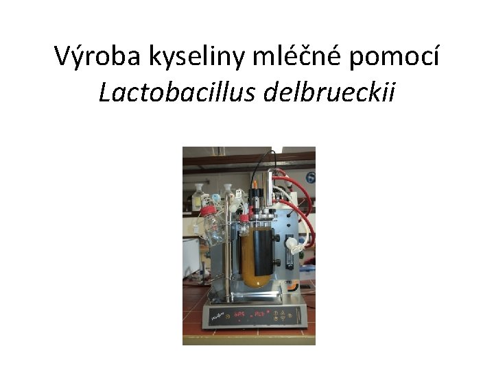 Výroba kyseliny mléčné pomocí Lactobacillus delbrueckii 