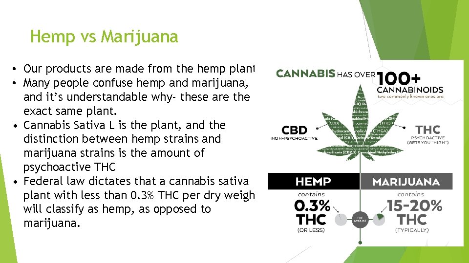Hemp vs Marijuana • Our products are made from the hemp plant. • Many