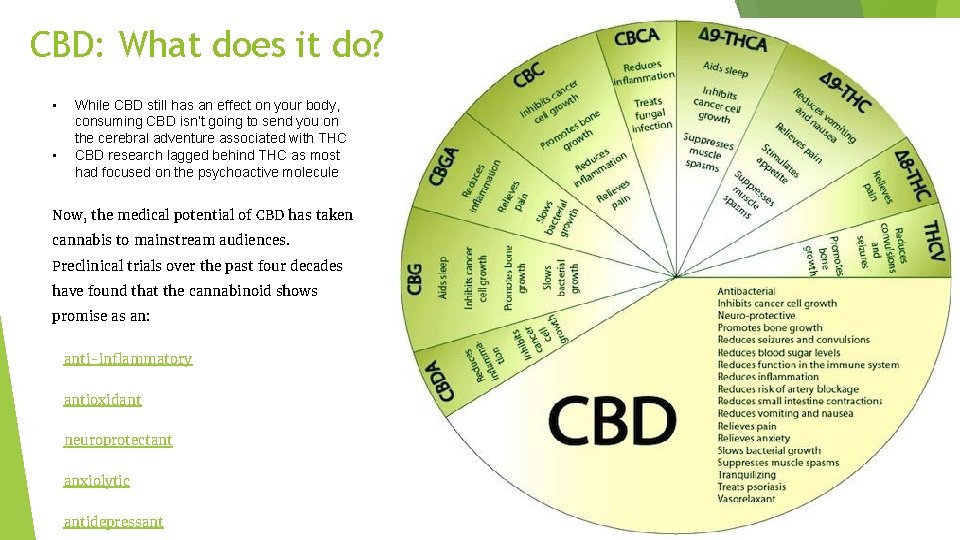 CBD: What does it do? • • While CBD still has an effect on