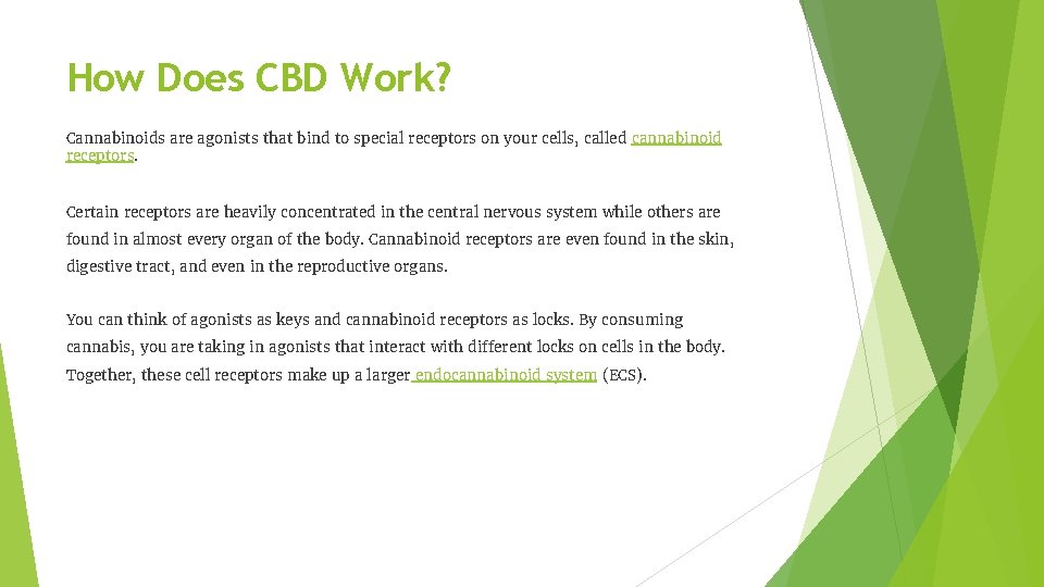 How Does CBD Work? Cannabinoids are agonists that bind to special receptors on your