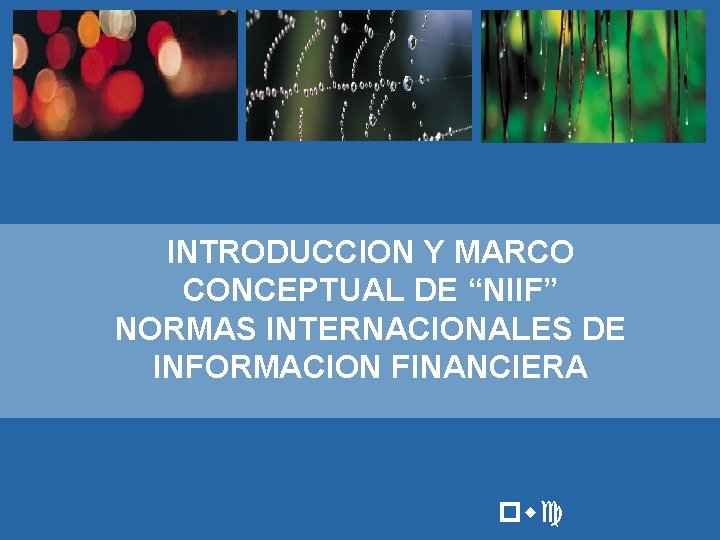 INTRODUCCION Y MARCO CONCEPTUAL DE “NIIF” NORMAS INTERNACIONALES DE INFORMACION FINANCIERA pwc 