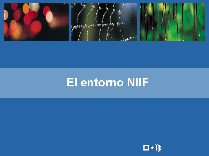 El entorno NIIF pwc 