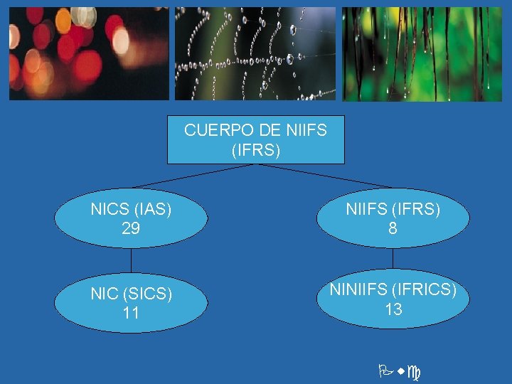 CUERPO DE NIIFS (IFRS) NICS (IAS) 29 NIIFS (IFRS) 8 NIC (SICS) 11 NINIIFS