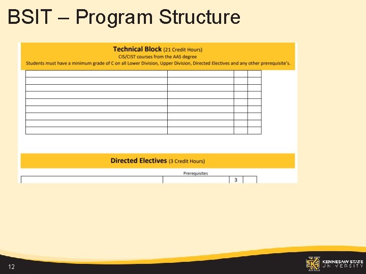 BSIT – Program Structure 12 