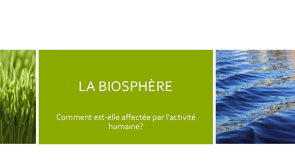 LA BIOSPHÈRE Comment est-elle affectée par l'activité humaine? 