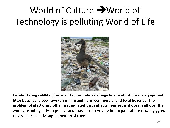 World of Culture World of Technology is polluting World of Life Besides killing wildlife,