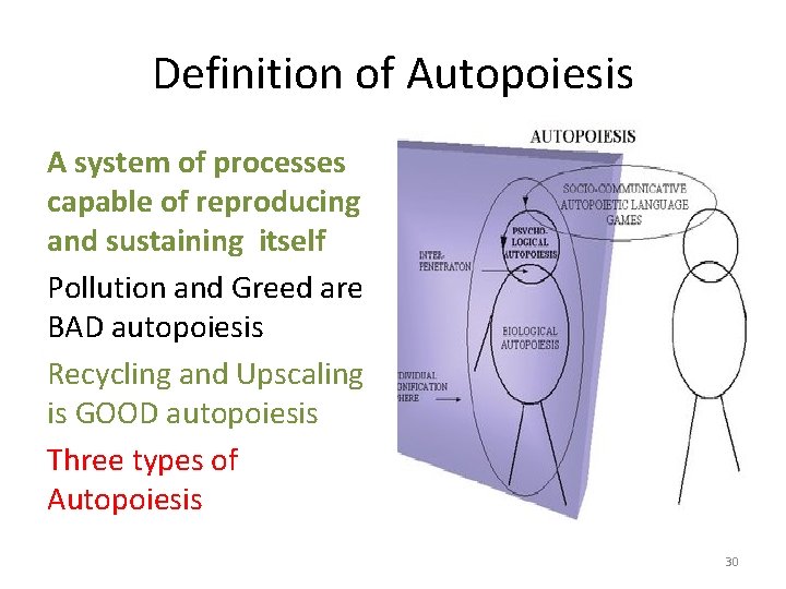 Definition of Autopoiesis A system of processes capable of reproducing and sustaining itself Pollution