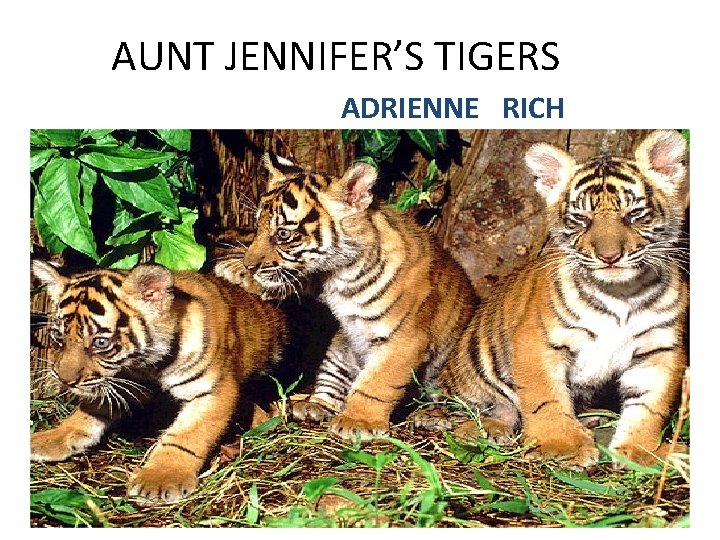AUNT JENNIFER’S TIGERS ADRIENNE RICH 