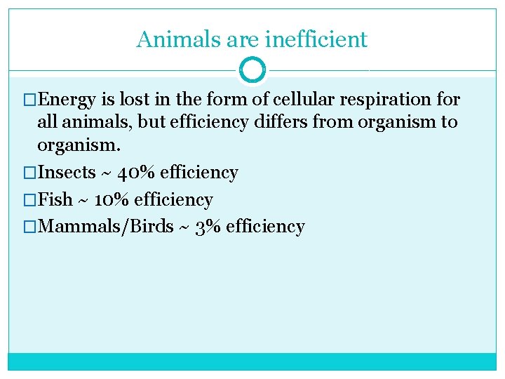 Animals are inefficient �Energy is lost in the form of cellular respiration for all