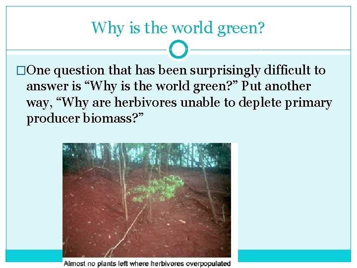 Why is the world green? �One question that has been surprisingly difficult to answer