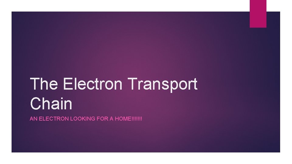 The Electron Transport Chain AN ELECTRON LOOKING FOR A HOME!!!!!!! 
