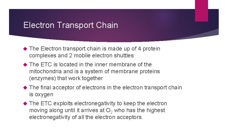 Electron Transport Chain The Electron transport chain is made up of 4 protein complexes