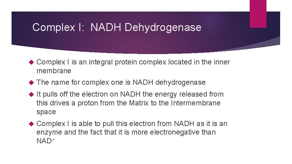 Complex I: NADH Dehydrogenase Complex I is an integral protein complex located in the