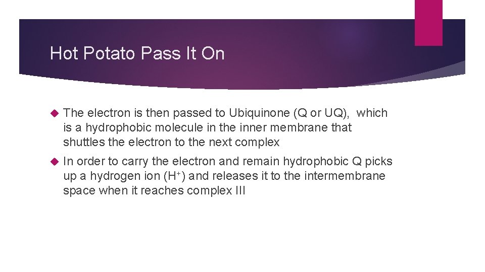 Hot Potato Pass It On The electron is then passed to Ubiquinone (Q or