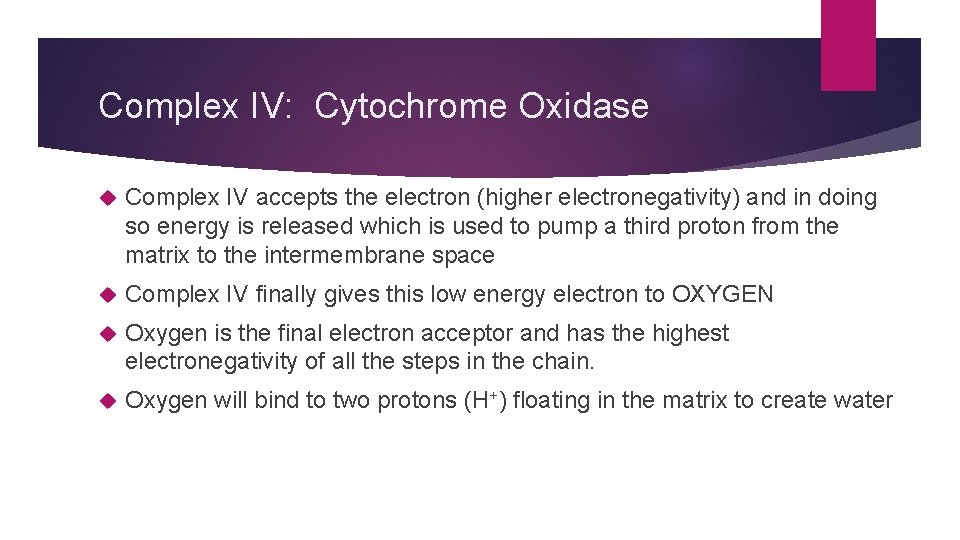 Complex IV: Cytochrome Oxidase Complex IV accepts the electron (higher electronegativity) and in doing