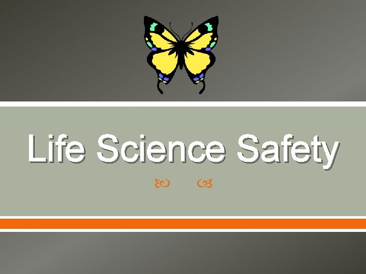 Life Science Safety 