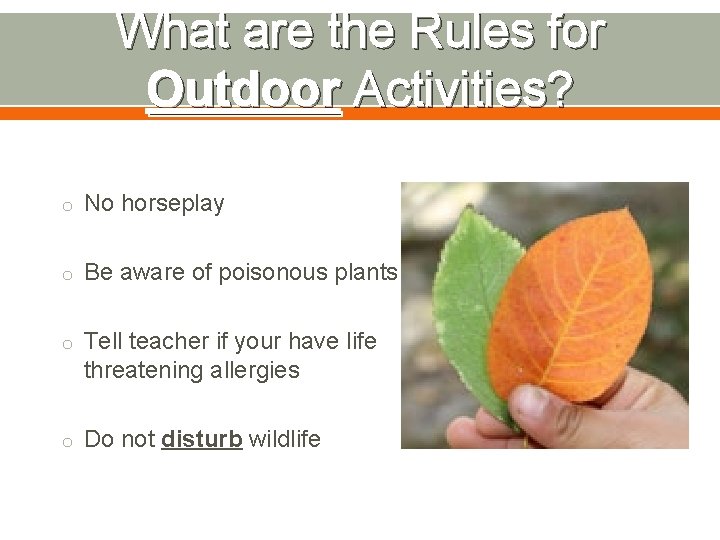 What are the Rules for Outdoor Activities? o No horseplay o Be aware of