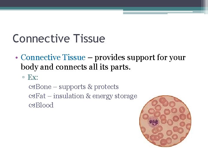 Connective Tissue • Connective Tissue – provides support for your body and connects all