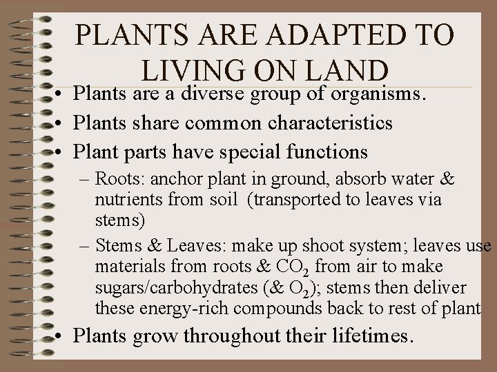 PLANTS ARE ADAPTED TO LIVING ON LAND • Plants are a diverse group of