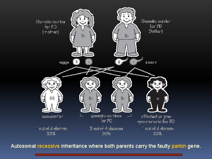 Autosomal recessive inheritance where both parents carry the faulty parkin gene. 