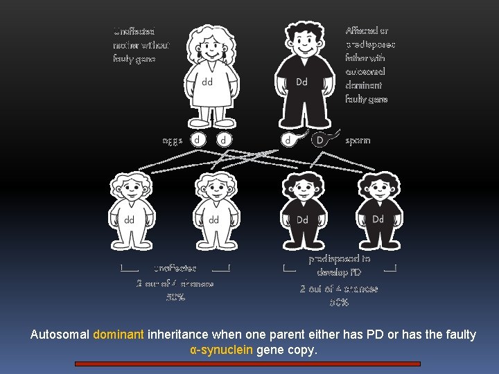 Autosomal dominant inheritance when one parent either has PD or has the faulty α-synuclein