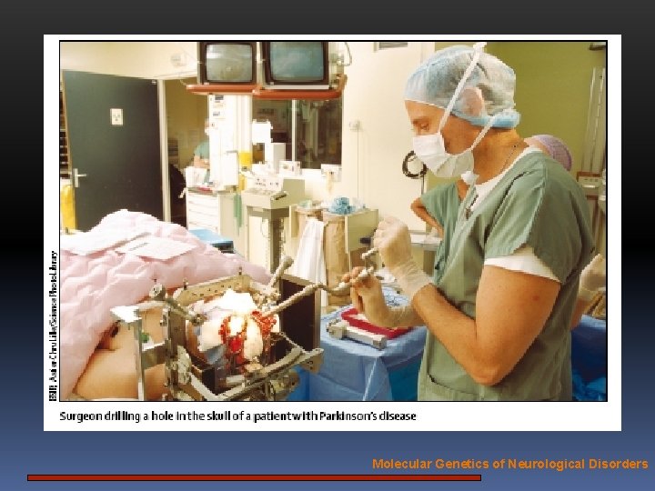 Molecular Genetics of Neurological Disorders 