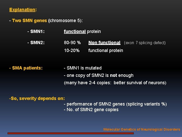 Explanation: - Two SMN genes (chromosome 5): - SMN 1: functional protein - SMN