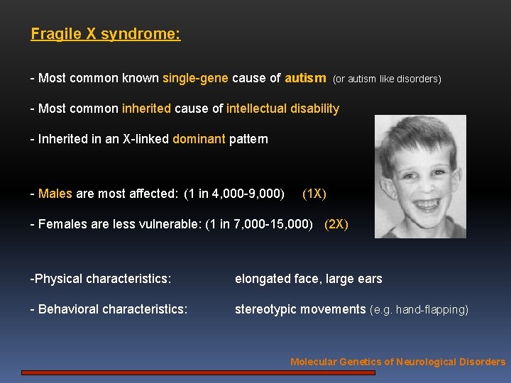 Fragile X syndrome: - Most common known single-gene cause of autism (or autism like