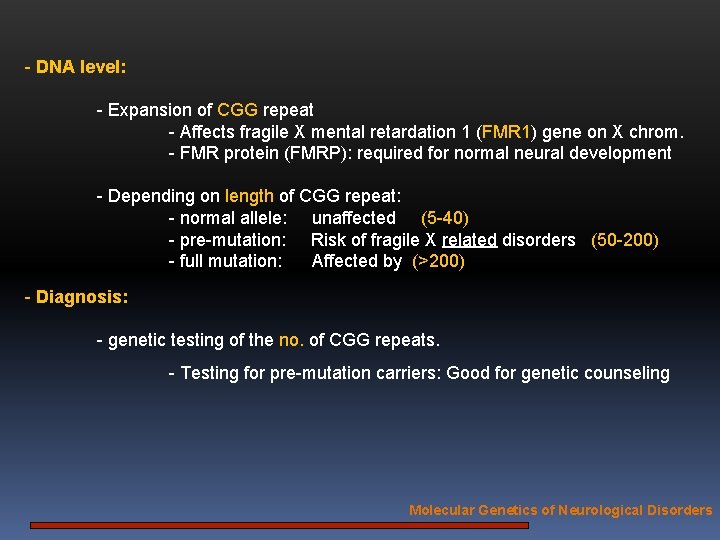 - DNA level: - Expansion of CGG repeat - Affects fragile X mental retardation
