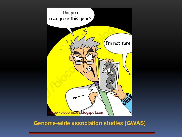 Genome-wide association studies (GWAS) 