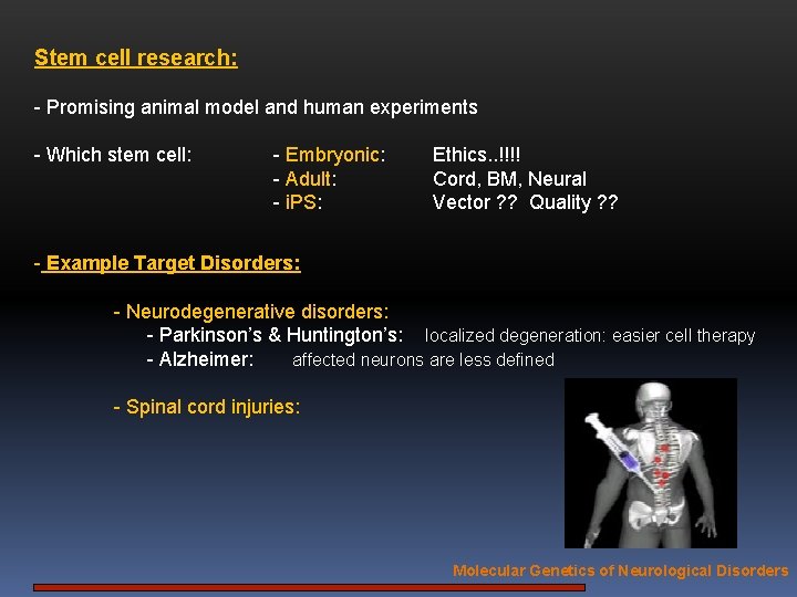 Stem cell research: - Promising animal model and human experiments - Which stem cell: