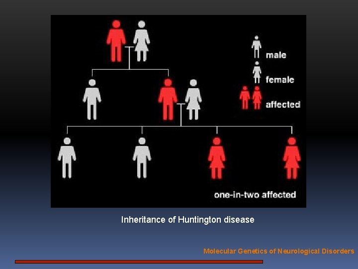 Inheritance of Huntington disease Molecular Genetics of Neurological Disorders 