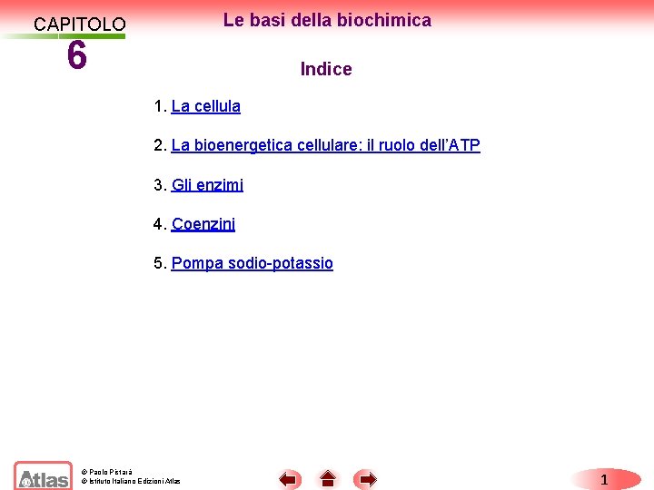 Le basi della biochimica CAPITOLO 6 Indice 1. La cellula 2. La bioenergetica cellulare: