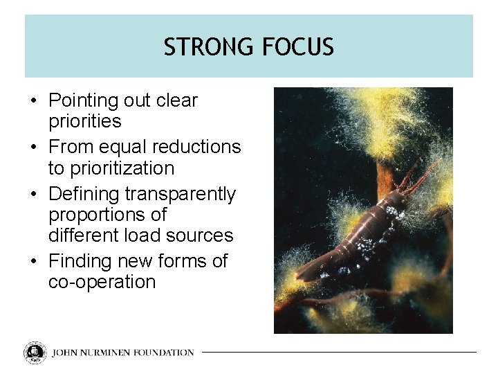STRONG FOCUS • Pointing out clear priorities • From equal reductions to prioritization •