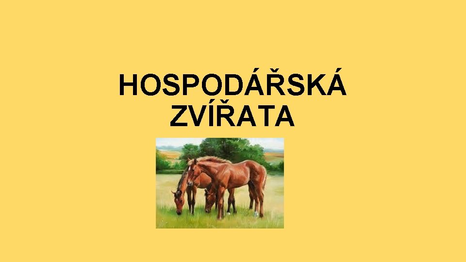 HOSPODÁŘSKÁ ZVÍŘATA 