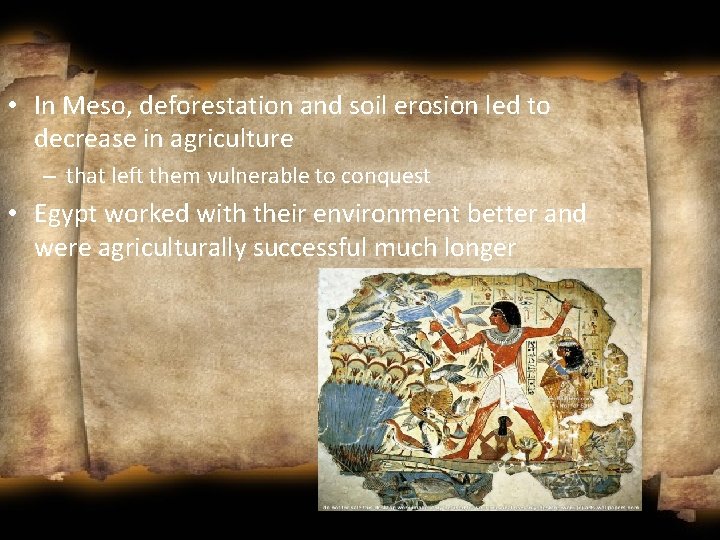  • In Meso, deforestation and soil erosion led to decrease in agriculture –