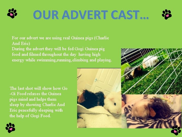 OUR ADVERT CAST… For our advert we are using real Guinea pigs (Charlie And