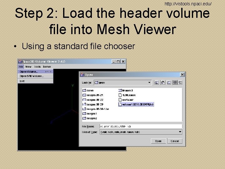 http: //vistools. npaci. edu/ Step 2: Load the header volume file into Mesh Viewer