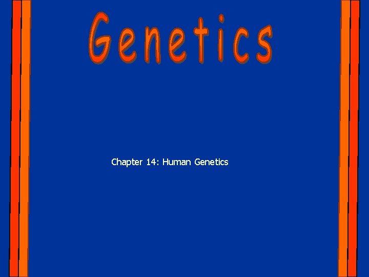 Chapter 14: Human Genetics 
