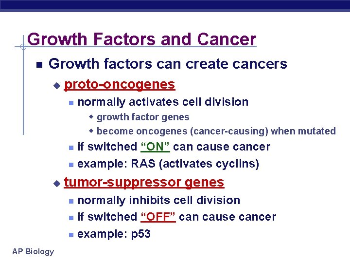 Growth Factors and Cancer Growth factors can create cancers u proto-oncogenes normally activates cell