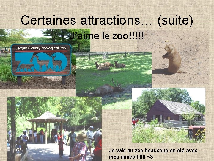 Certaines attractions… (suite) J’aime le zoo!!!!! Je vais au zoo beaucoup en été avec
